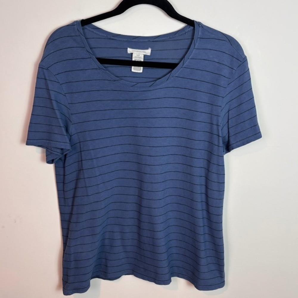 Outerknown Womens Organic Cotton Lightweight Blue striped short sleeve tee sz SM